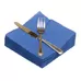 Napkins 33cm 2ply Regatta Blue 100