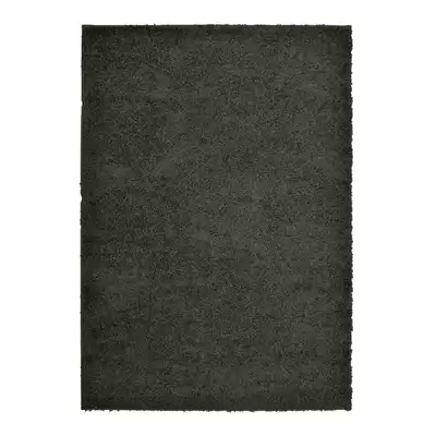 Shaggy Rug 80x150cm