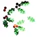 Artyom Holly and Berry Confetti 100g