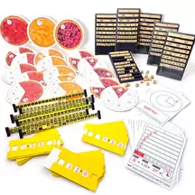 Fraction Decimal Percentage Group Pack