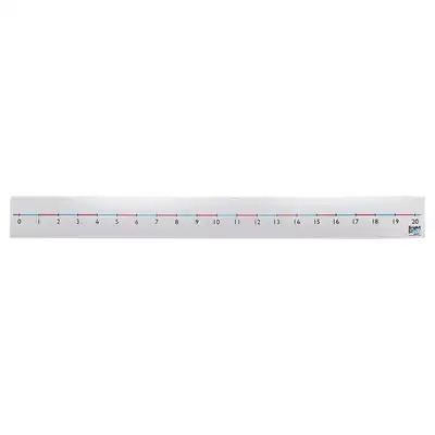 Giant Wall Number Line