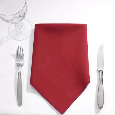 Napkins 16 Inch 24 Pack