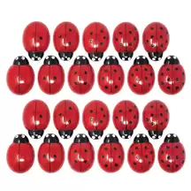 Ladybug Counting Stones