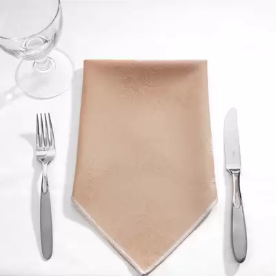 Napkins 16 Inch 24 Pack