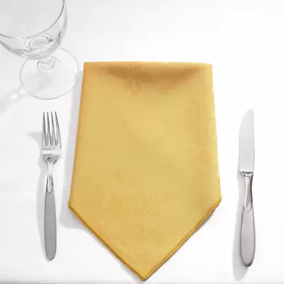Napkins 16 Inch 24 Pack