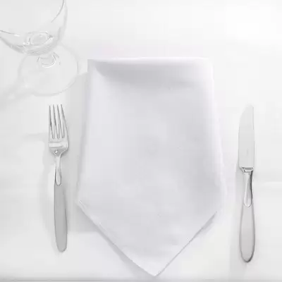 Napkins 16 Inch 24 Pack