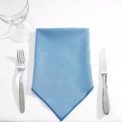 Napkins 16 Inch 24 Pack