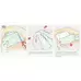 Mefix Dressing 5cm x 10m