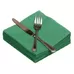 Napkins 33cm 2ply Holly Green 100