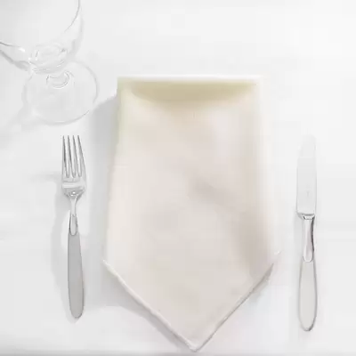 Napkins 16 Inch 24 Pack