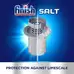 Finish Dishwasher Salt 4kg