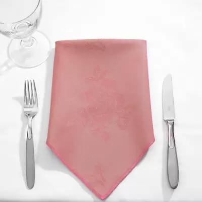 Napkins 16 Inch 24 Pack