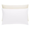 Pillow Case Pair 50cm x 75cm