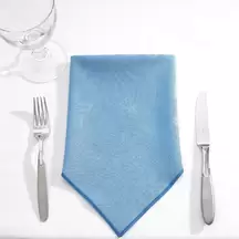 Napkins 16 Inch 24 Pack
