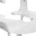Shower Commode