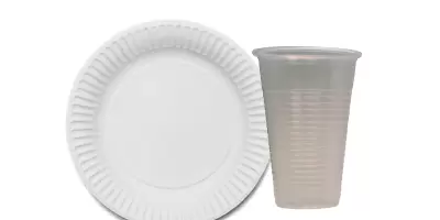 A paper plate next to a single-use plastic drinking cup