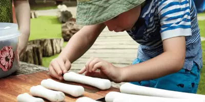 A boy measuring dinosaur bones